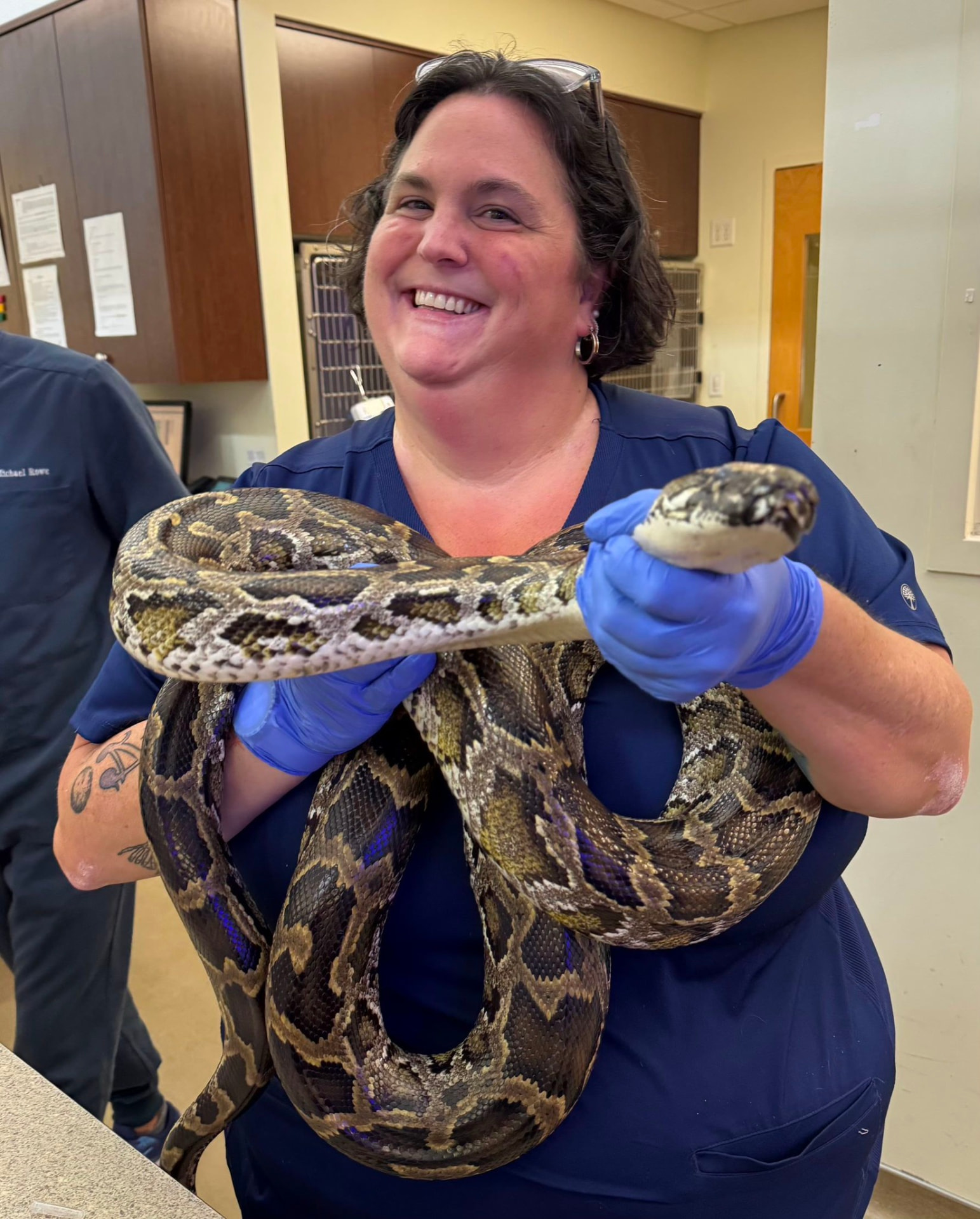 Jennah Bosch laughing while safely handling a large python in the treatment area