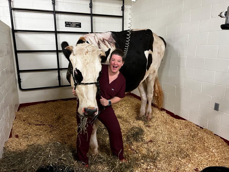 Kobi Grace Derks laughing while hugging a large dairy cow in a straw-bedded stall