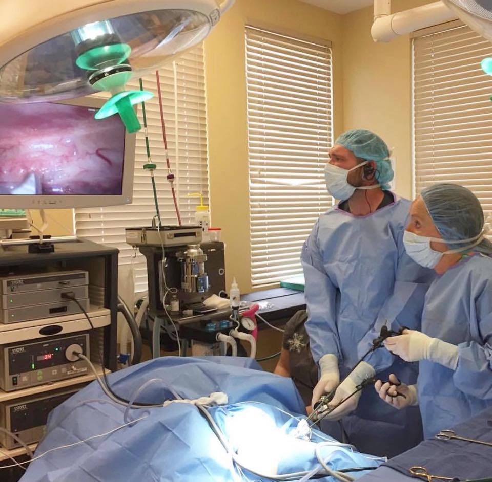 Mark Romanowski performing laparoscopic surgery with a colleague, watching the scope monitor